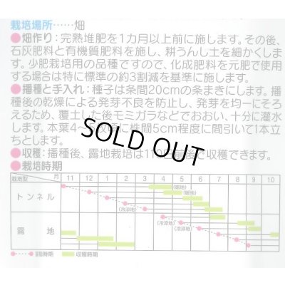 画像4: 送料無料　[人参]　ベーターリッチ　ペレット　約350粒　(株)サカタのタネ　実咲450（003107）