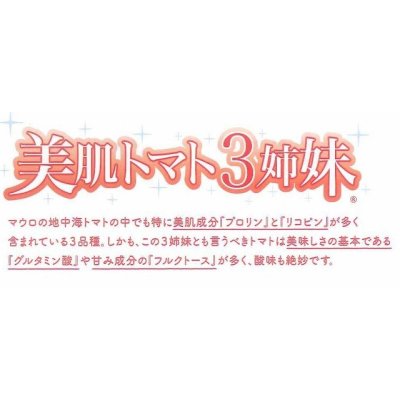 画像2: 送料無料　[ミニトマト]　ロッソナポリタン　100粒　サナテックシード（株）