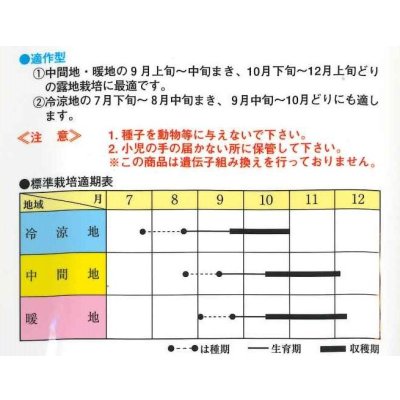画像2: [大根] ビタミン大根 5ml (およそ240粒) (株)トーホク
