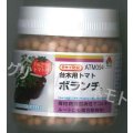 送料無料　[台木/トマト用]　ボランチ　ペレット　2L　1000粒　タキイ種苗(株)