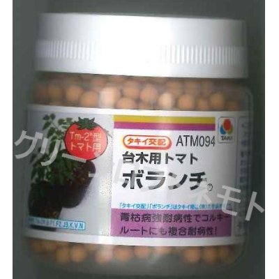 画像1: [台木/トマト用]　送料無料！　ボランチ　ペレット ２Ｌ 1000粒　タキイ種苗（株）