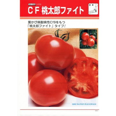 画像3: 送料無料 [トマト/桃太郎系] CF桃太郎ファイト 1000粒 貴種(コートしてません) タキイ種苗(株)
