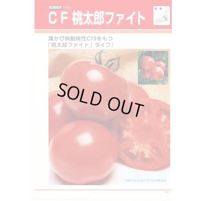 画像3: 送料無料　[トマト/桃太郎系]　CF桃太郎ファイト　1000粒　貴種(コートしてません)　タキイ種苗(株)