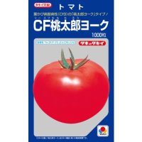 [トマト/桃太郎系]　送料無料！　CF桃太郎ヨーク　1000粒 貴種（コートしてません） 　タキイ種苗（株）