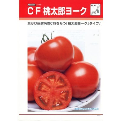 画像3: [トマト/桃太郎系]　送料無料！　CF桃太郎ヨーク　1000粒 2L ペレット種子 　タキイ種苗（株）