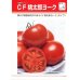 画像3: [トマト/桃太郎系]　送料無料！　CF桃太郎ヨーク　1000粒 貴種（コートしてません） 　タキイ種苗（株） (3)