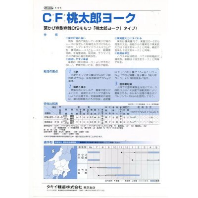 画像4: [トマト/桃太郎系]　送料無料！　CF桃太郎ヨーク　1000粒 2L ペレット種子 　タキイ種苗（株）