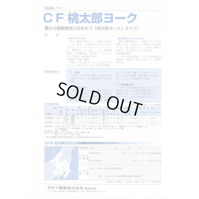 画像4: 送料無料　[トマト/桃太郎系]　CF桃太郎ヨーク　1000粒　貴種(コートしてません)　タキイ種苗(株)