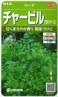 [ハーブの種]　チャービル（セルフィーユ）　約800粒　　サカタのタネ　実咲