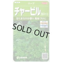 送料無料　[ハーブの種]　チャービル(セルフィーユ)　約800粒　(株)サカタのタネ　実咲（003184）