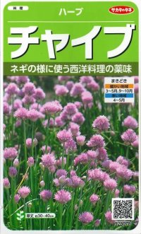 [ハーブの種]　チャイブ　　約250粒　サカタのタネ　実咲