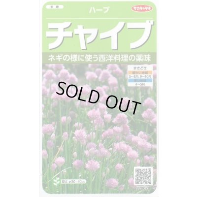 画像1: [ハーブの種] チャイブ 約250粒 (株)サカタのタネ 実咲250(003185)