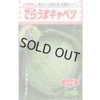 [キャベツ] でらうま 20ml 松永種苗(株)