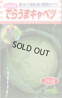 [キャベツ] でらうま 20ml 松永種苗(株)