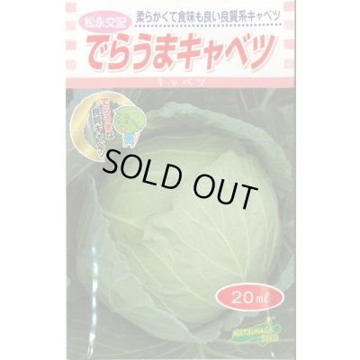 画像1: [キャベツ] でらうま 20ml 松永種苗(株)
