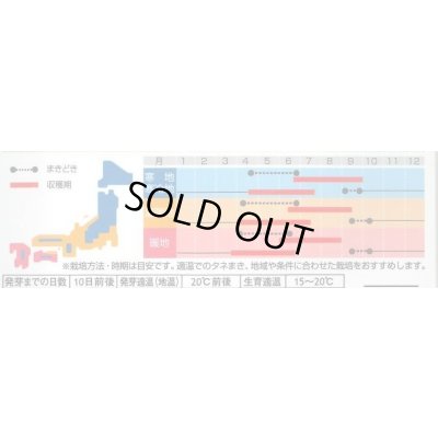 画像3: 送料無料　[ハーブの種]　ディル(イノンド)約700粒　(株)サカタのタネ　実咲（003186）