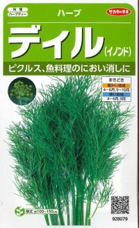 [ハーブの種]　ディル（イノンド）約700粒　サカタのタネ　実咲