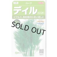 送料無料　[ハーブの種]　ディル(イノンド)約700粒　(株)サカタのタネ　実咲（003186）