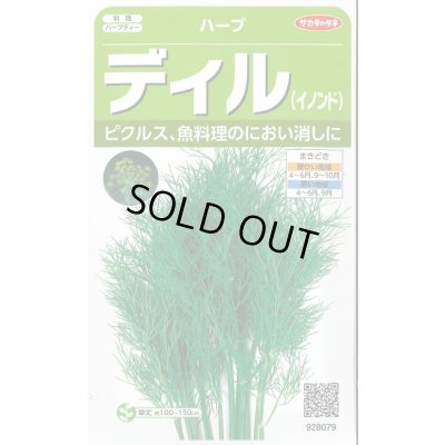 画像1: 送料無料　[ハーブの種]　ディル(イノンド)約700粒　(株)サカタのタネ　実咲（003186）