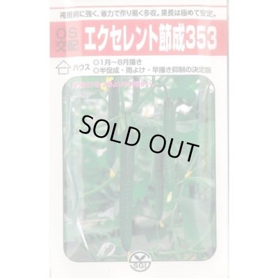 画像1: 送料無料　[キュウリ]　エクセレント節成353　350粒　ＯＳ交配