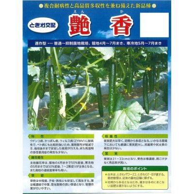 画像2: [キュウリ]　送料無料！艶香　350粒　　（株）ときわ研究場