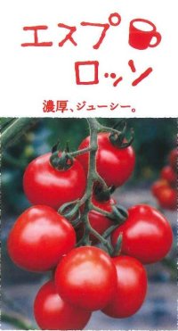 [トマト/ミニトマト]　エスプロッソ　100粒　サナテックシード（株）