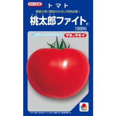 画像1: [トマト/桃太郎系]　送料無料！　桃太郎ファイト　1000粒 貴種（コートしてません） 　タキイ種苗（株）