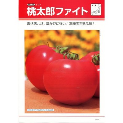 画像4: [トマト/桃太郎系]　桃太郎ファイト　16粒 貴種（コートしてません）　タキイ種苗（株）　DF　