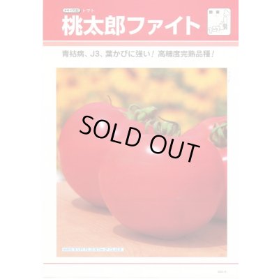 画像4: 送料無料　[トマト/桃太郎系]　桃太郎ファイト　16粒　貴種(コートしてません)　タキイ種苗(株)　DF