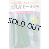 送料無料　[オクラ]　ガリバー　6ml　カネコ種苗（株）