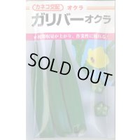 送料無料　[オクラ]　ガリバー　6ml　カネコ種苗（株）