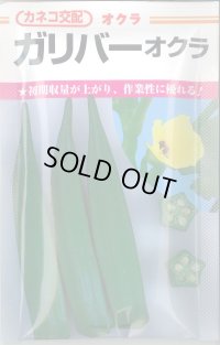 送料無料　[オクラ]　ガリバー　6ml　カネコ種苗（株）