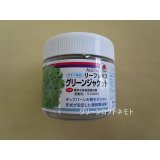 [レタス]　グリーンジャケット　ペレット　5000粒　タキイ種苗(株)