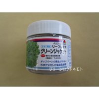 [レタス]　グリーンジャケット　ペレット　5000粒　タキイ種苗(株)