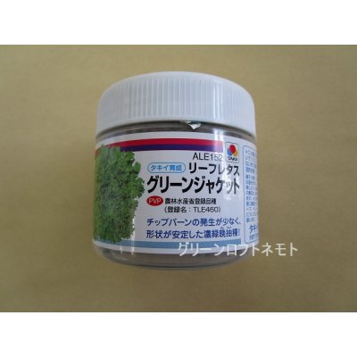 画像1: [レタス]　グリーンジャケット　ペレット　5000粒　タキイ種苗(株)