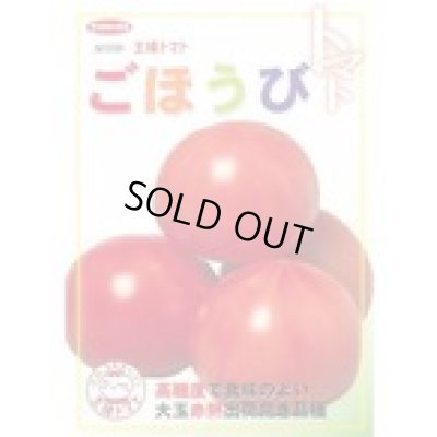 画像2: 送料無料 [トマト] ごほうび 1000粒 (株)サカタのタネ