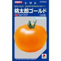 [トマト/桃太郎系]　送料無料！　桃太郎ゴールド  1000粒　タキイ種苗（株）