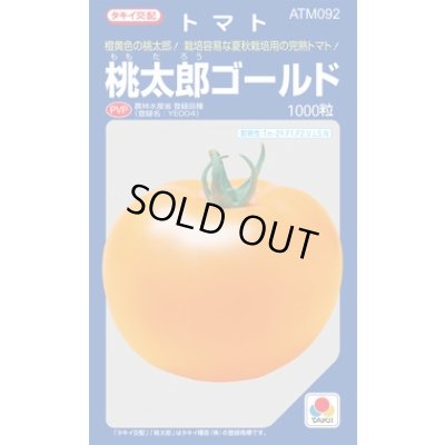 画像1: 送料無料　[トマト/桃太郎系]　桃太郎ゴールド　1000粒　タキイ種苗(株)