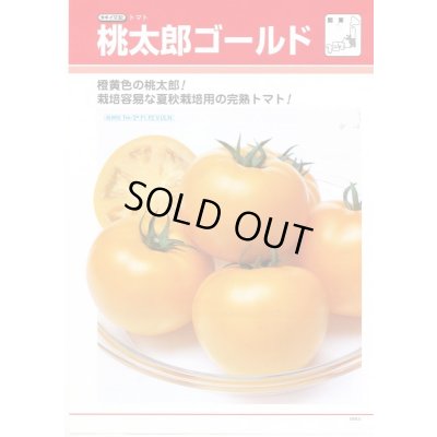 画像3: 送料無料　[トマト/桃太郎系]　桃太郎ゴールド　16粒　タキイ種苗(株)　DF