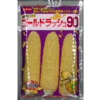 [とうもろこし] ゴールドラッシュ90 2000粒 (株)サカタのタネ