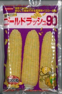 [とうもろこし] ゴールドラッシュ90 2000粒 (株)サカタのタネ