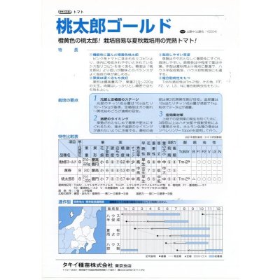 画像4: 送料無料 [トマト/桃太郎系] 桃太郎ゴールド 1000粒 タキイ種苗(株)