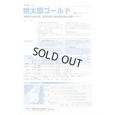 画像4: 送料無料　[トマト/桃太郎系]　桃太郎ゴールド　16粒　タキイ種苗(株)　DF