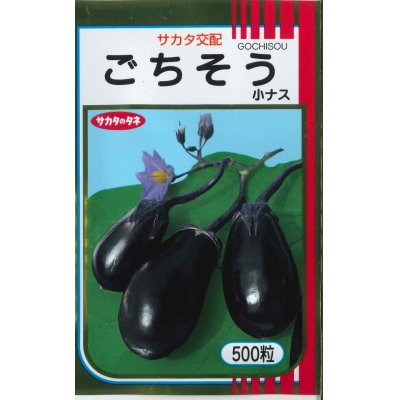 画像1: [なす]　ごちそうなす　500粒　サカタのタネ（株）