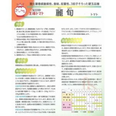 画像3: [トマト/大玉トマト]　送料無料！　麗旬　1000粒　　サカタ交配