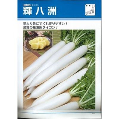 画像2: 送料無料　[大根]　大根種　輝八洲　2dl　タキイ種苗(株)