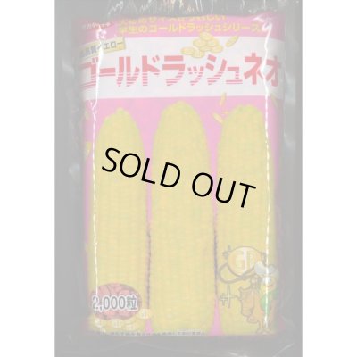 画像1: 送料無料[とうもろこし]　ゴールドラッシュネオ　2000粒　(株)サカタのタネ