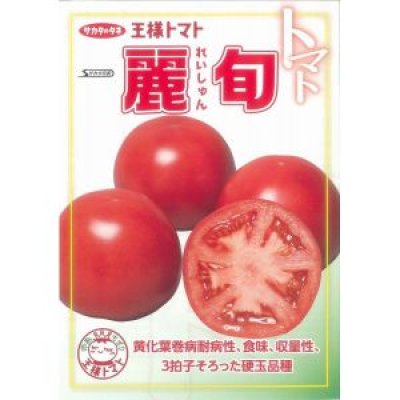 画像2: [トマト/大玉トマト]　麗旬　　100粒　サカタ交配