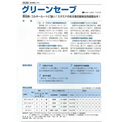 画像3: [台木/トマト用]　送料無料！　グリーンセーブ　　1000粒　タキイ種苗（株）