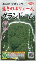 送料無料　[ブロッコリー]　グランドーム　ぺレット種子　125粒　(株)サカタのタネ   実咲550（003176）